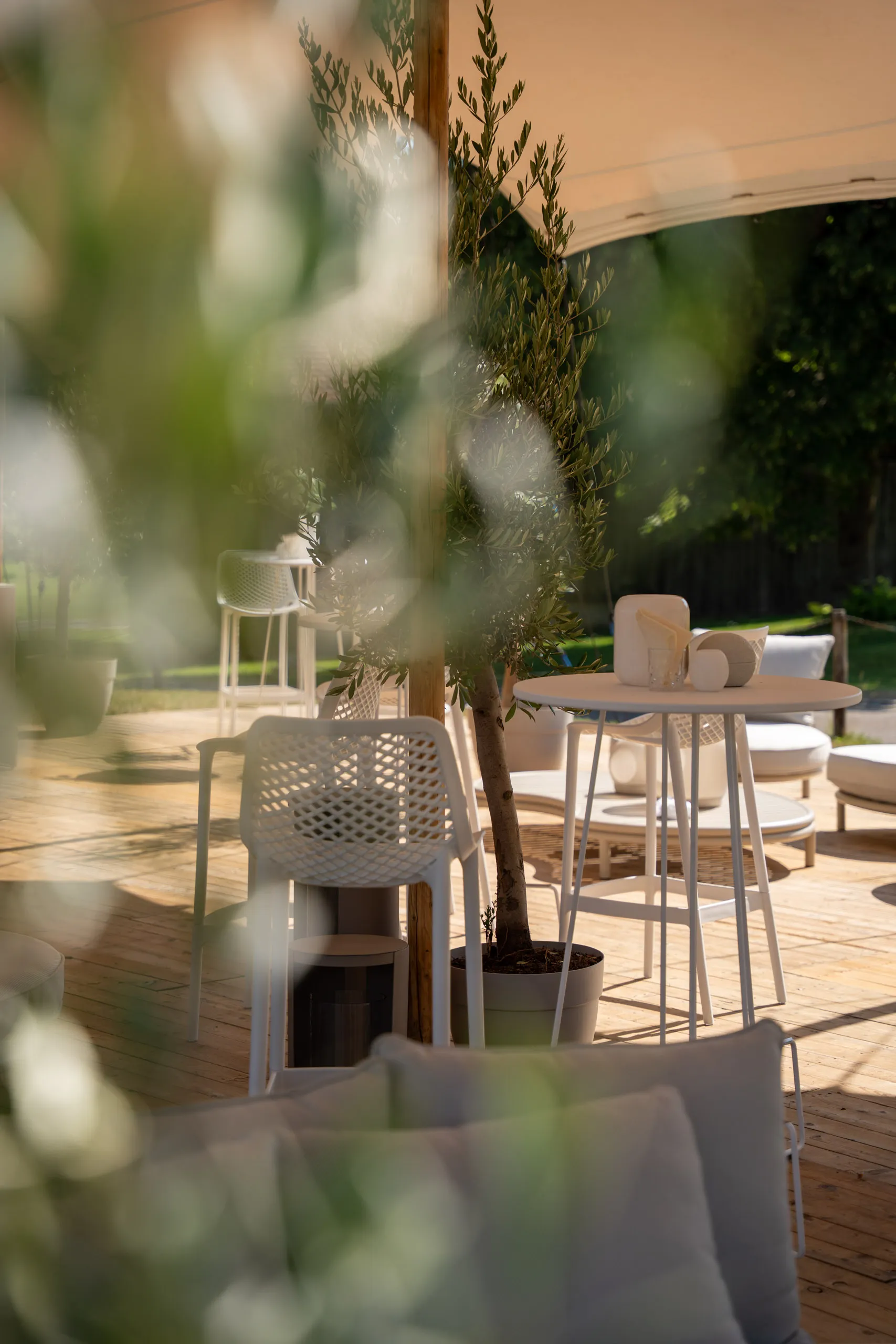 A view through foliage into the lounge: white chairs and a standing table with glassware on a wooden deck, a potted olive tree at the centre beneath the pale tent canopy.